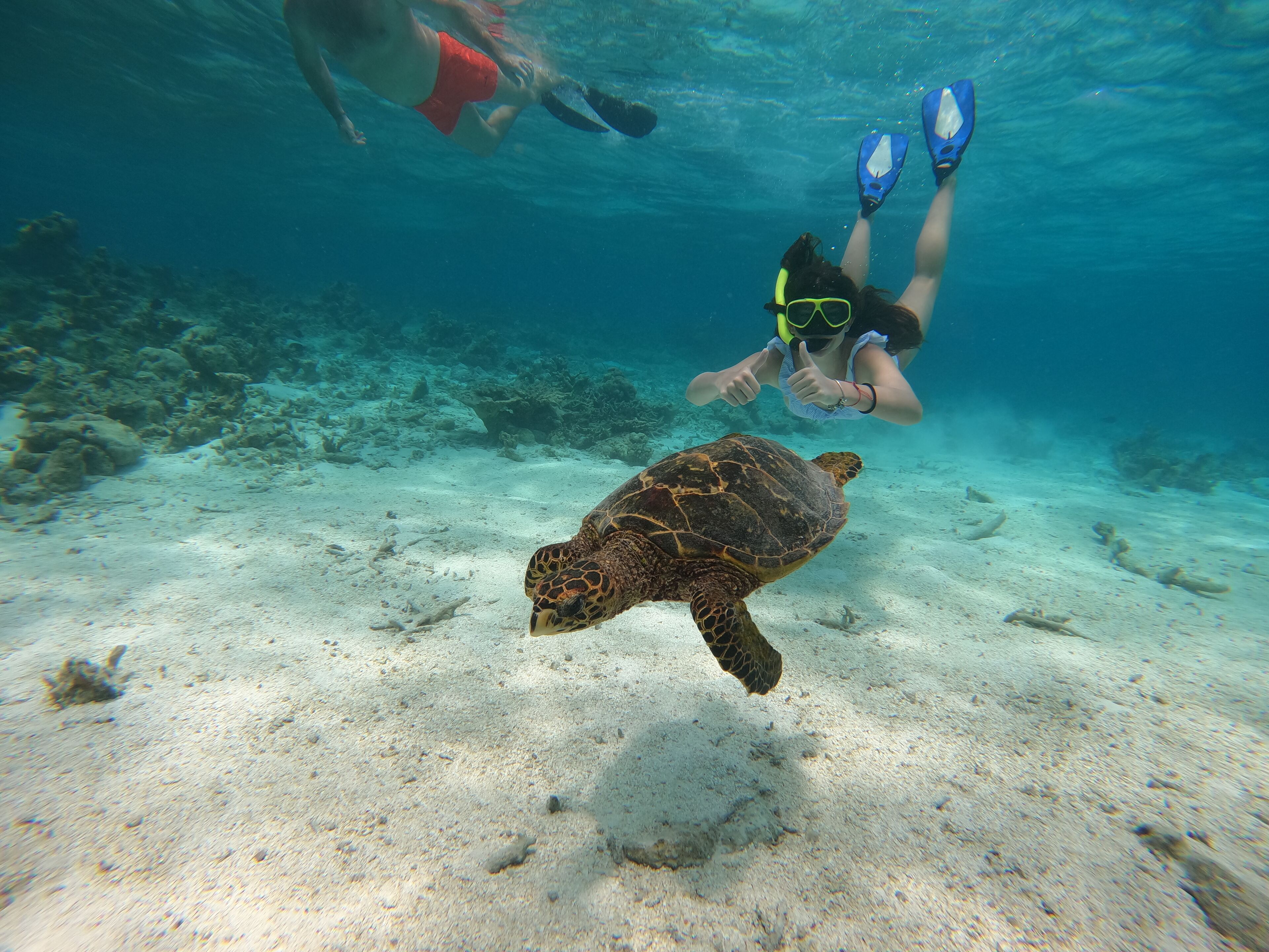 Foto - Kaani Palm Beach