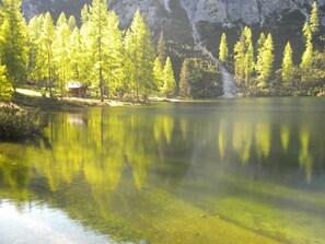 Unclassified image, 3 of 44, button