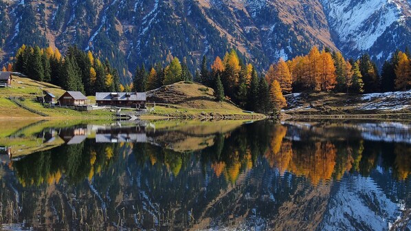 Unclassified image, 1 of 44, button