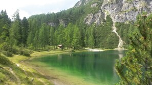 Unclassified image, 4 of 44, button