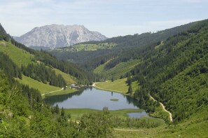 Unclassified image, 3 of 44, button