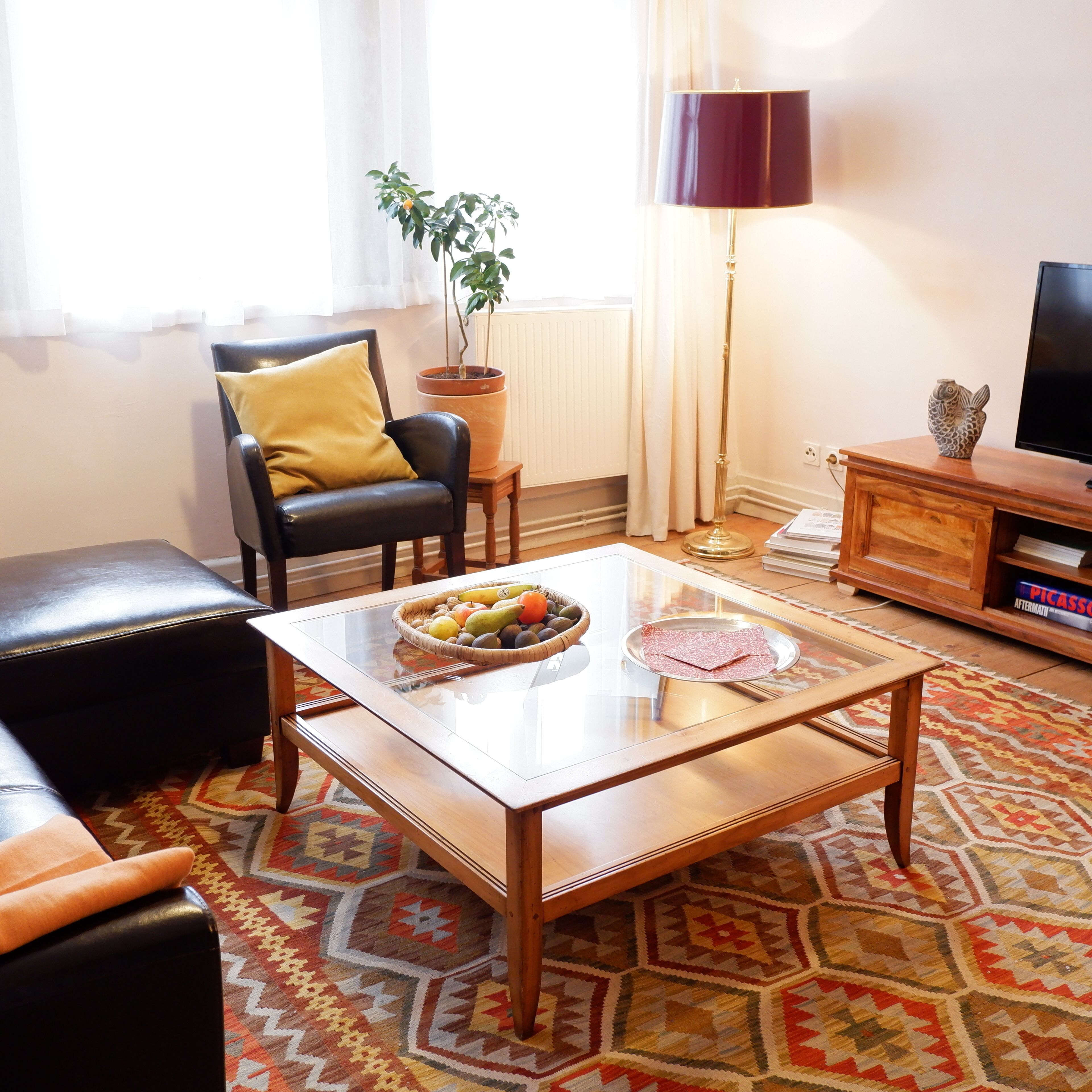 Smart-tv, dvd-afspiller, bøger, videobibliotek