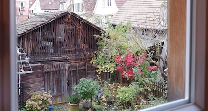 Mitten in der Tübinger Altstadt - und dabei ruhig wohnen auf sonnigen 65 qm !