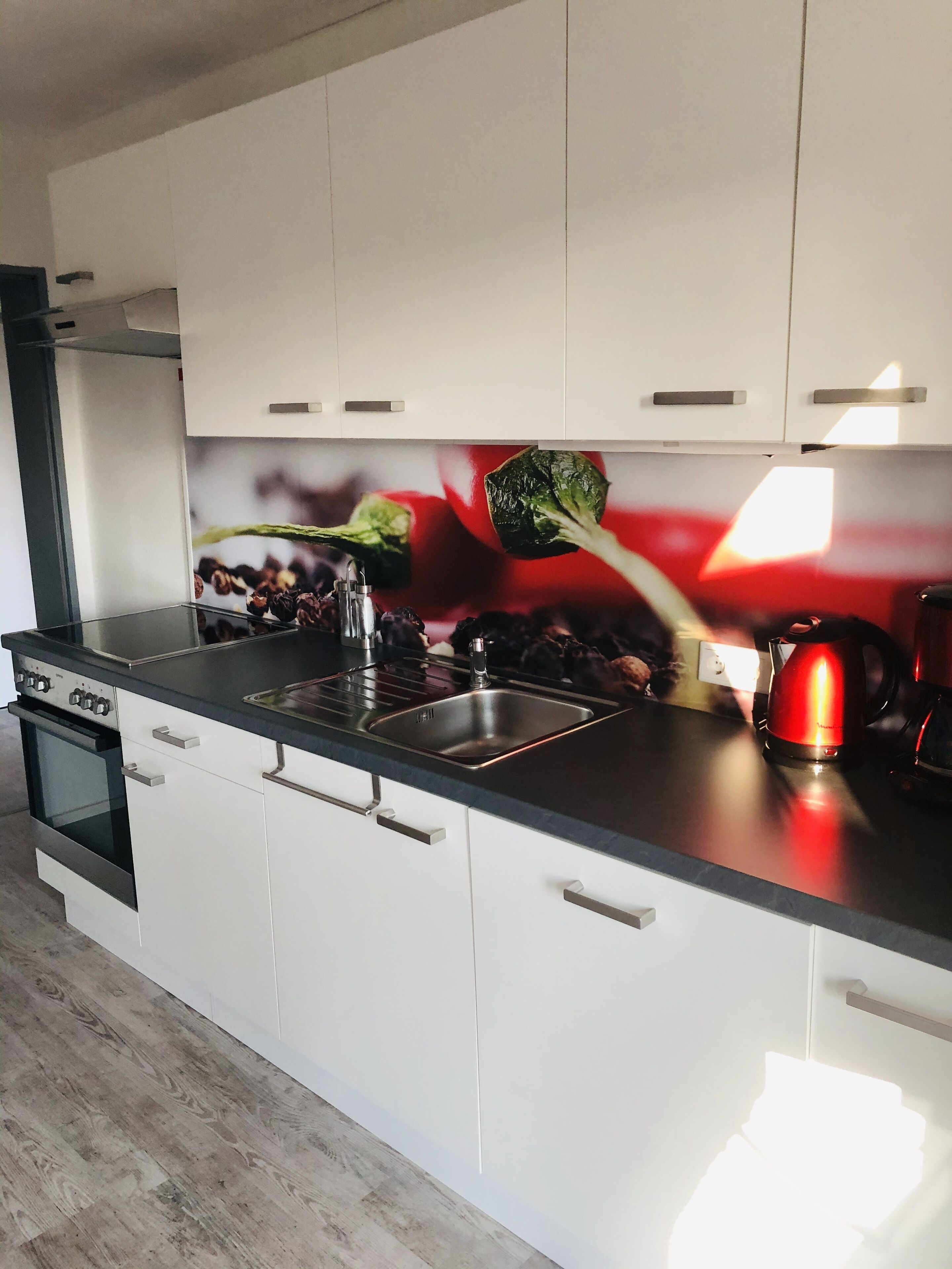 Fridge, oven, stovetop, dishwasher