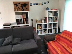 Televisio, videopelejä, DVD-soitin, kirjoja