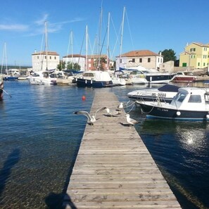 Marina