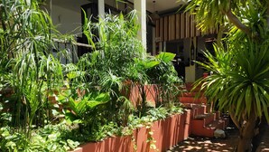 A sunlit outdoor area with a variety of potted plants and a brick pathway. - Haven Boutique Hotel Quy Nhon (Quy Nhon Nam)