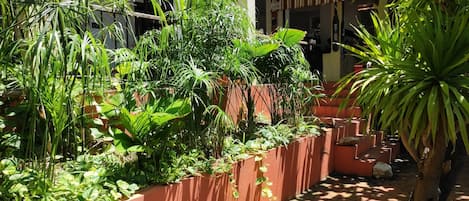 A sunlit outdoor area with a variety of potted plants and a brick pathway.