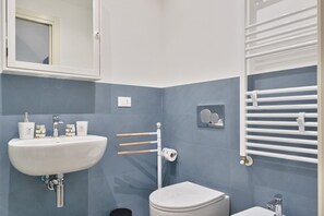 Shower, hair dryer, bidet, towels