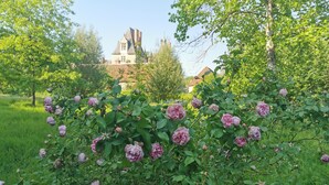A garden with blooming pink roses and a historic building in the background.