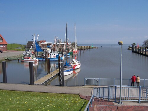 Haustierfreundliches "Ferienhaus-zur-Friesenheimat"