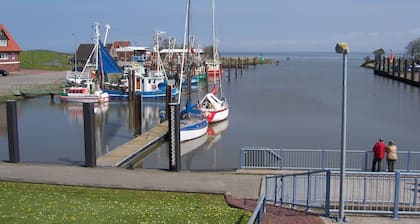 Haustierfreundliches "Ferienhaus-zur-Friesenheimat"