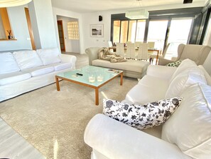 TV, fireplace, video games, DVD player