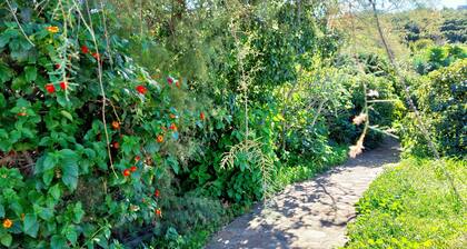 El Jaralin maaseudun mökki