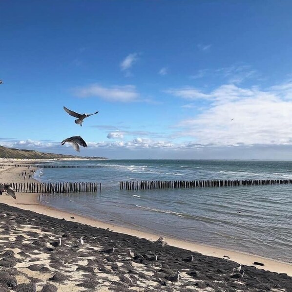 Beach nearby - Apt - Burg. van Woelderenlaan 100-2 | Vl (Vlissingen)