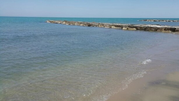 Een strand met helder water en een rotsachtige zeewering.