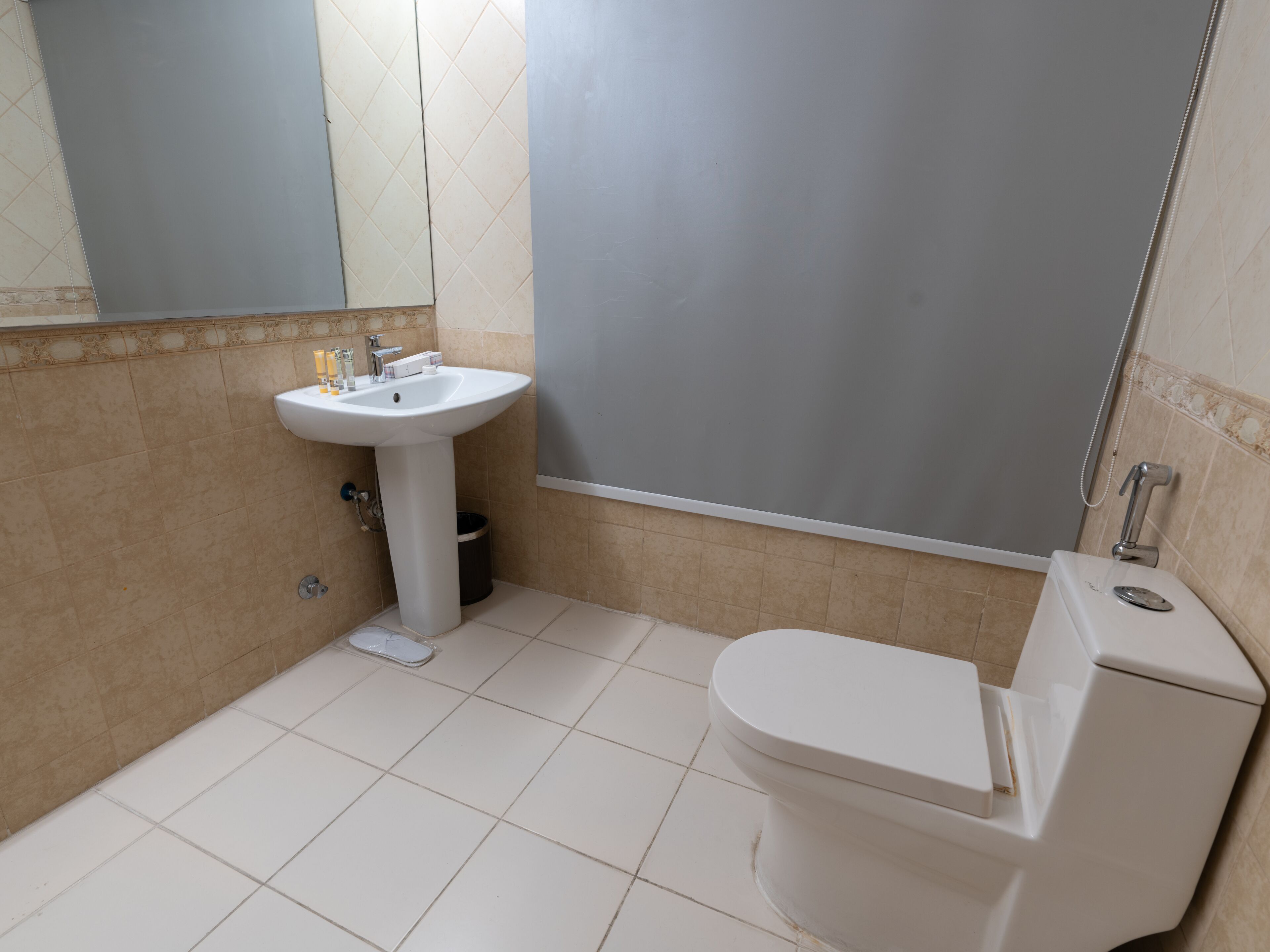 A bathroom with a white sink, toilet, and a shower area.