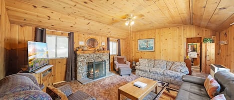 Smart TV, chimenea y reproductor de DVD