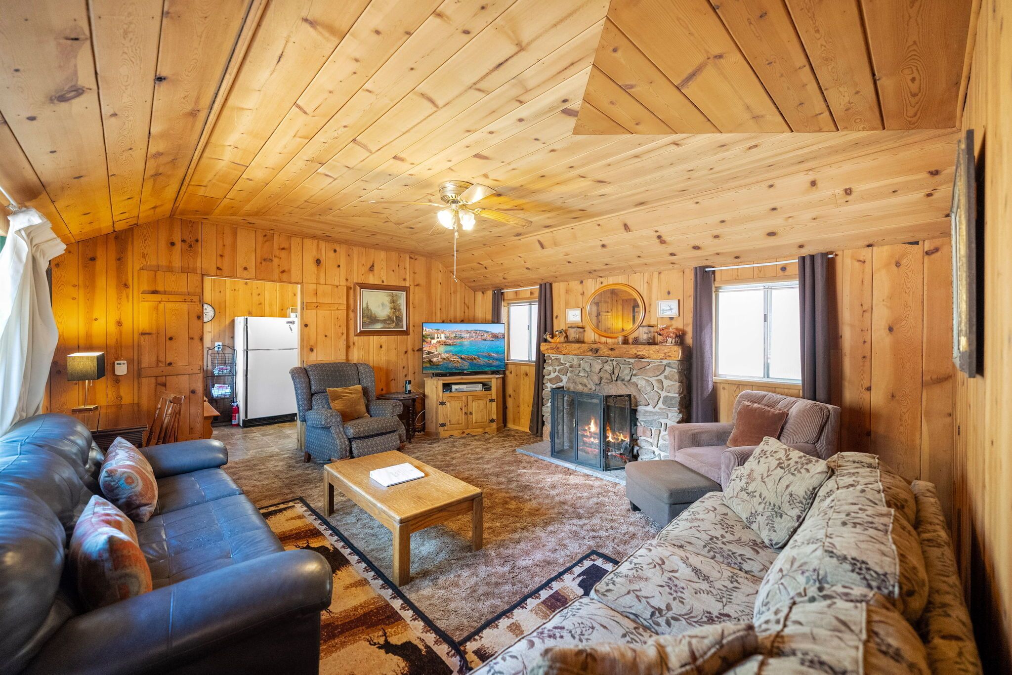 Smart TV, chimenea y reproductor de DVD 