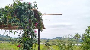 Un jardín con una pérgola cubierta de plantas trepadoras y una palmera.