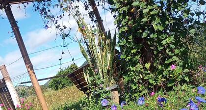 Pousada Flores De ipê