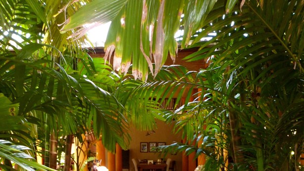 A stone pathway leading to a dining area surrounded by lush greenery. - Ging Oya Lodge (Wennappuwa)