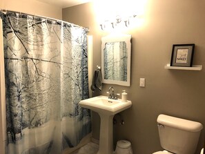 Une salle de bain avec un rideau de douche représentant un paysage forestier hivernal, un lavabo blanc avec un miroir au-dessus, et des toilettes.