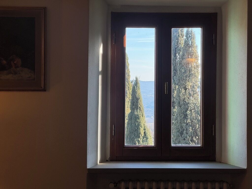 A window with a view of trees and a distant landscape.