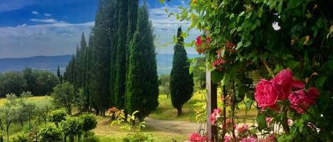 المنطقة المحيطة بالمنشأة