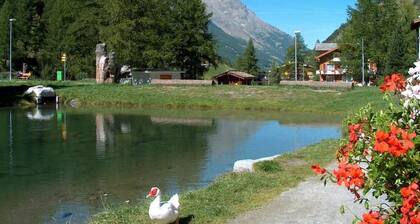 Confortable appartement pour 3 personnes avec WIFI, bain Ă remous, TV et balcon