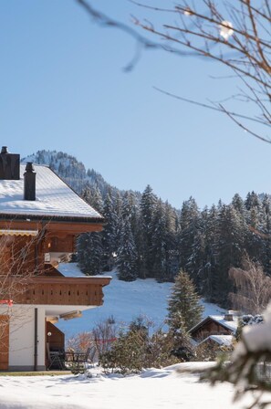 Exterior - Cosy apartment for 4 guests with WIFI, TV, balcony and pets allowed (Saanen)