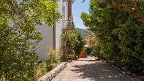 Un sendero pavimentado que atraviesa un jardín con abundante vegetación a ambos lados.