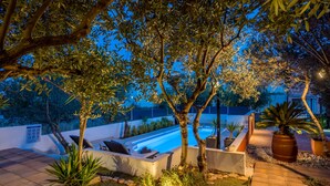 Un área junto a la piscina con hidromasaje, sillones de descanso y un jardín iluminado con diversas plantas y un camino.
