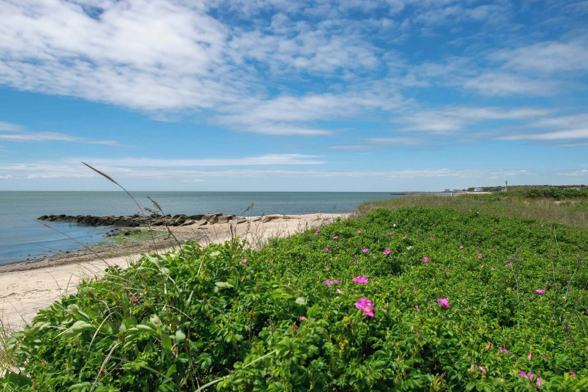 A coastal landscape with a sandy beach, green vegetation, and a clear sky.