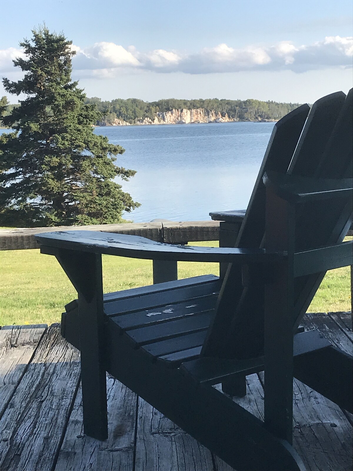Värdens profilbild