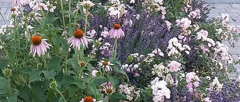 Jardines del alojamiento