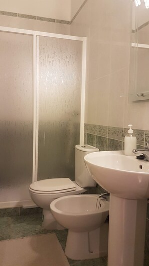 Hair dryer, towels, shampoo, toilet paper