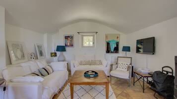 Télévision, cheminée, lecteur de DVD