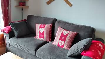 Télévision, lecteur de DVD, livres, vidéothÚque