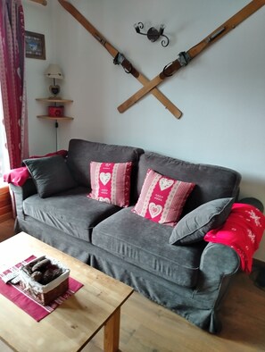 TV, DVD player, books, video library