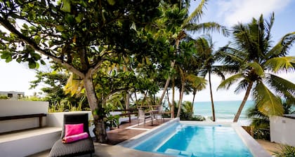 Rose Nest at the beach Puerto Rico