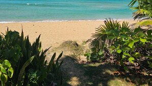 Ein Strand mit klarem, türkisblauem Wasser und einem sandigen Ufer.