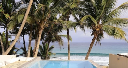 Rosennest Puerto Rico