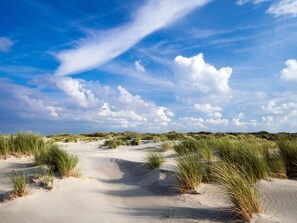 A sandy landscape with dunes and sparse vegetation under a clear sky.