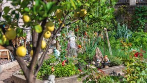 A garden with various plants, a statue, and a rustic fence. - Rebenheim Frühstückspension - FEWO (Termeno Sulla Strada del Vino)
