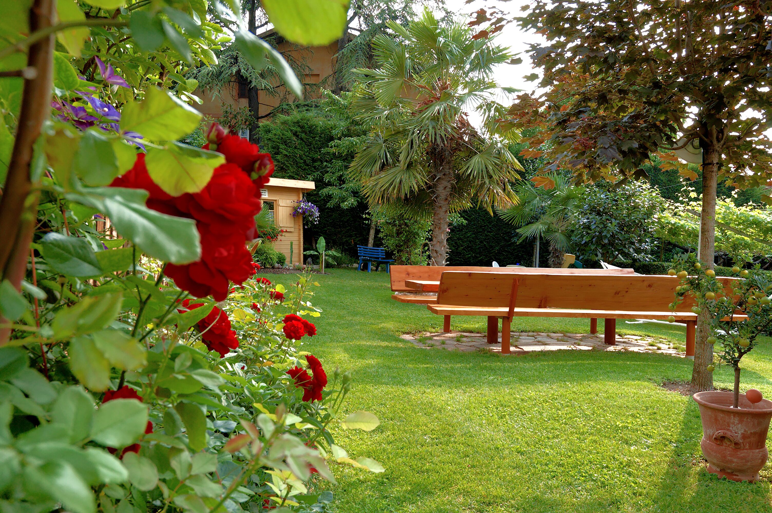 Ein Garten mit Bänken, einem kleinen Gebäude und einem Baum mit Früchten.