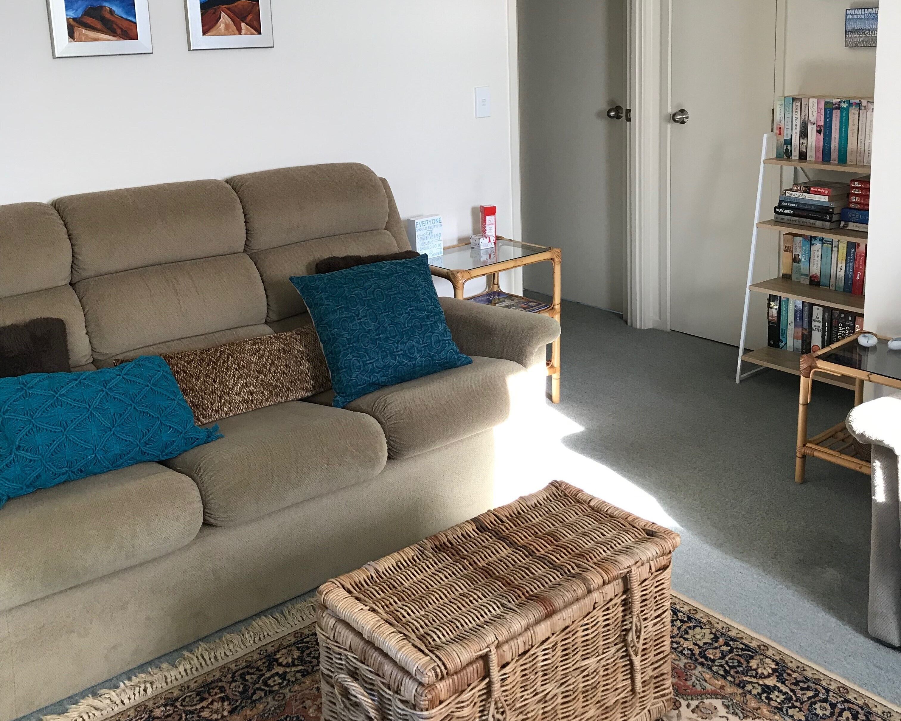 TV, ping pong, books, music library