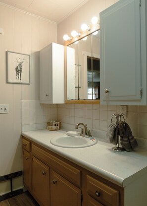 Duschwanne, Haartrockner, Handtücher, Seife