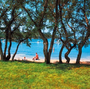 Uma praia com árvores, céu azul límpido e mar calmo.