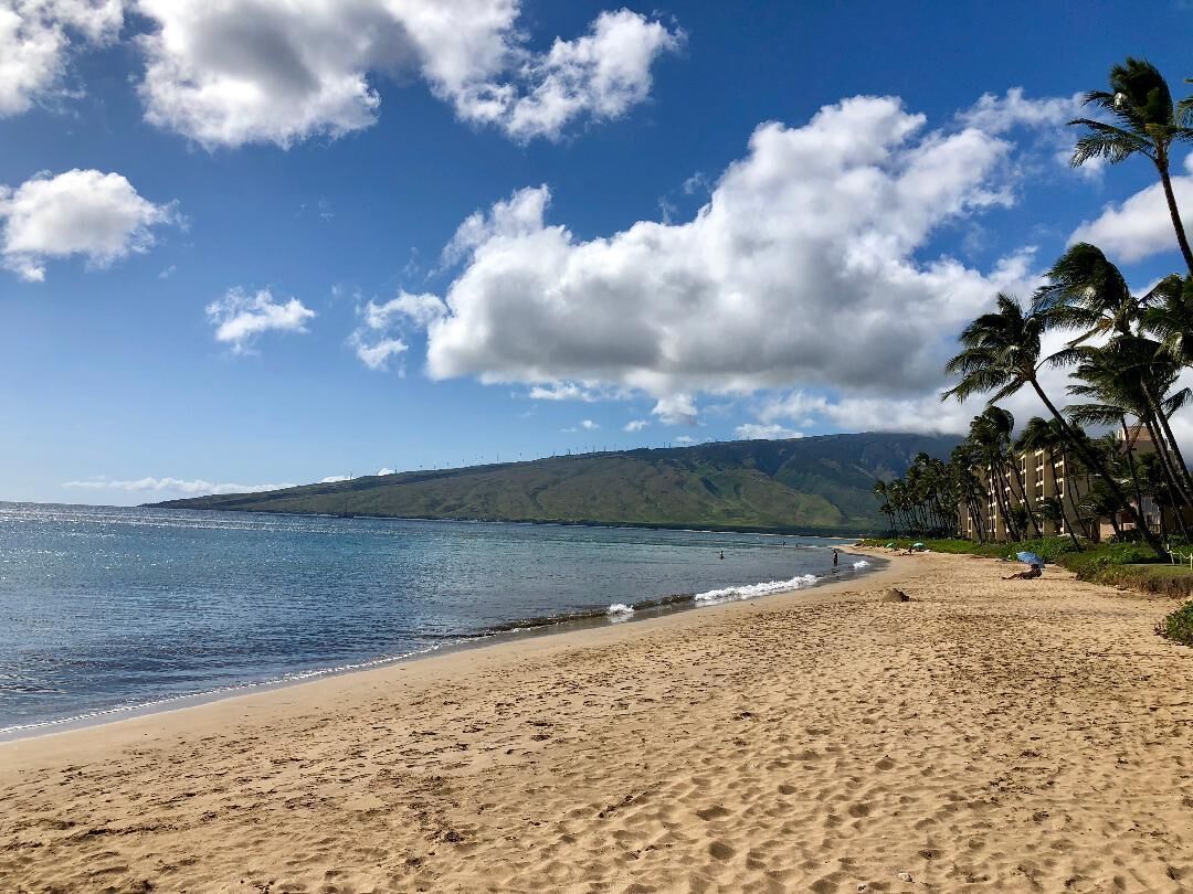On the beach, sun loungers, beach towels